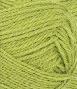 9825 Sunny Lime