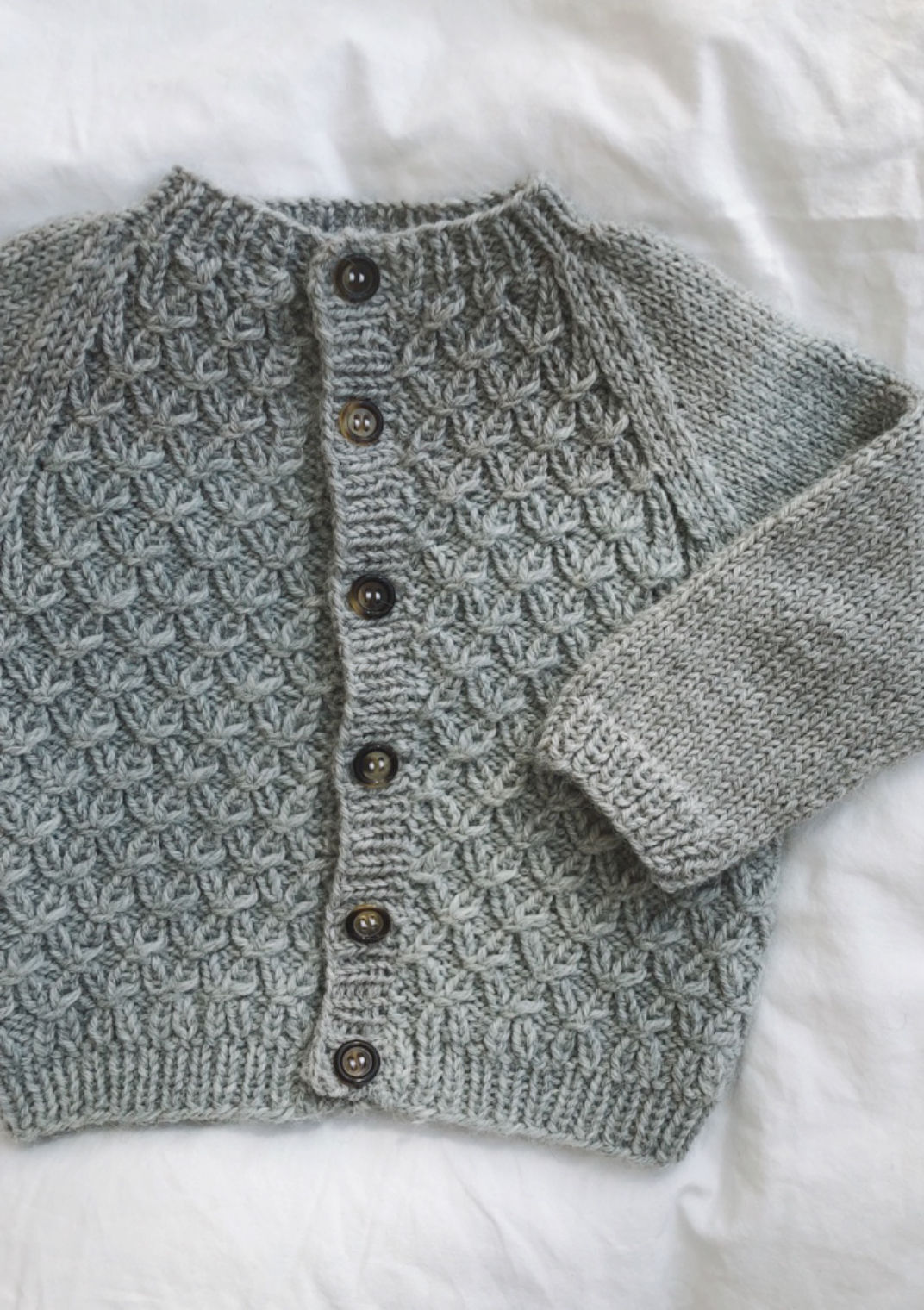 PetiteKnit Carls Cardigan